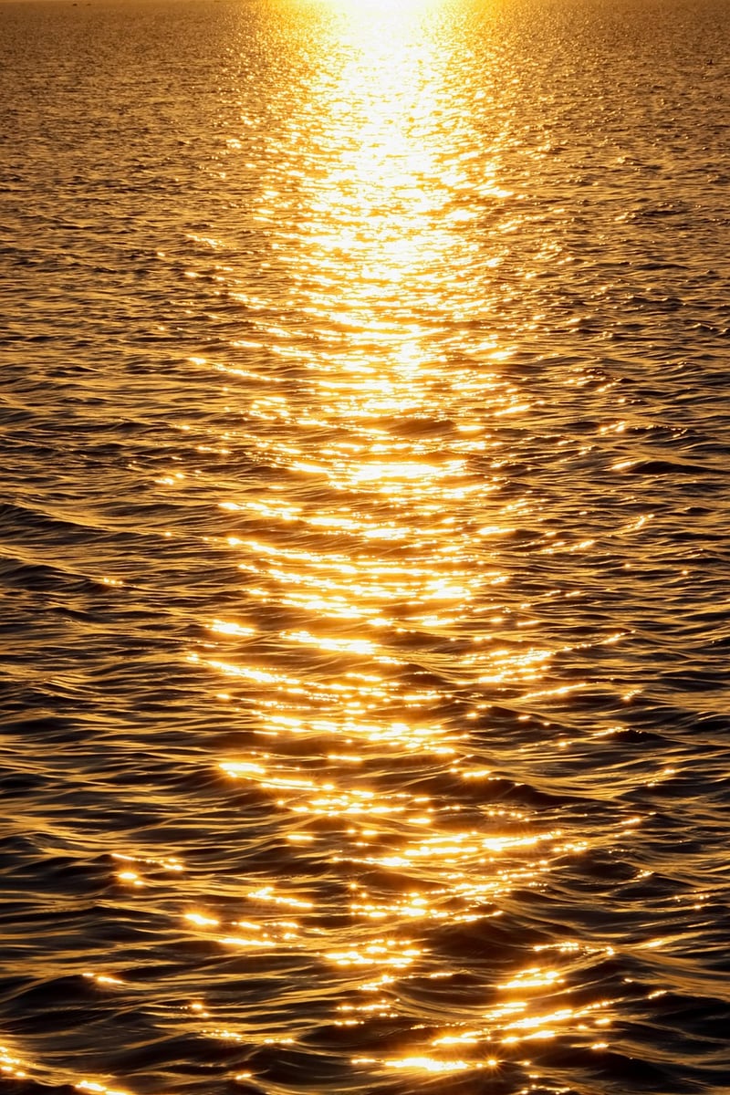 Sunlight Optimization
